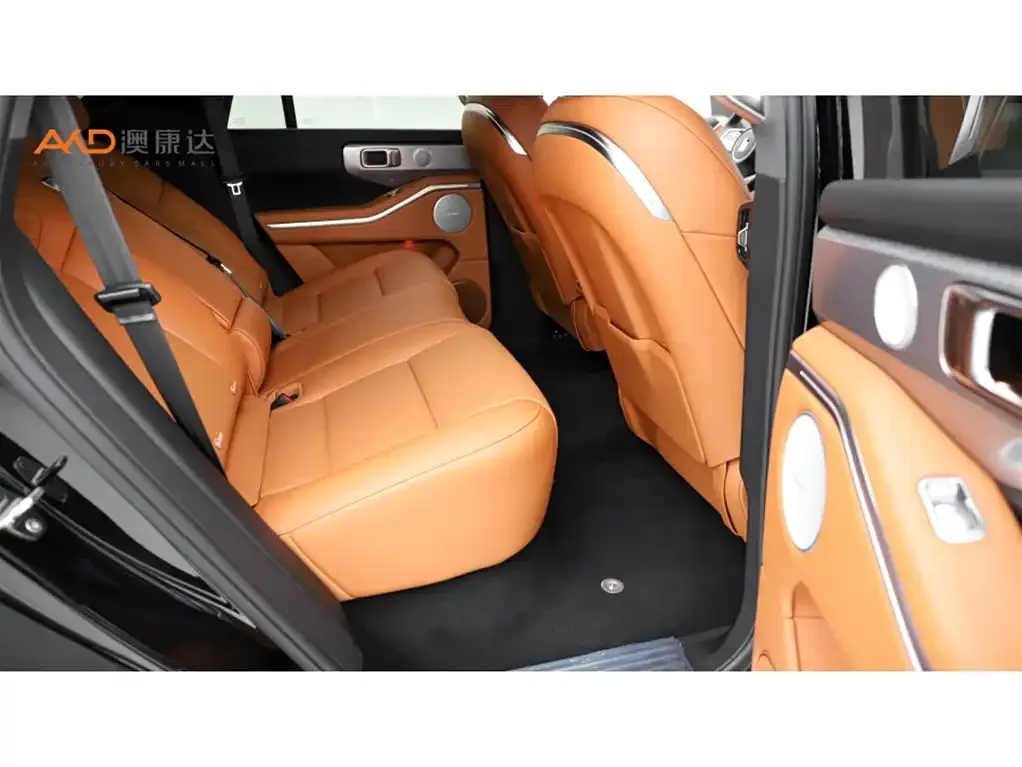 Tank 700 New Energy 2024 из CN, фото 8