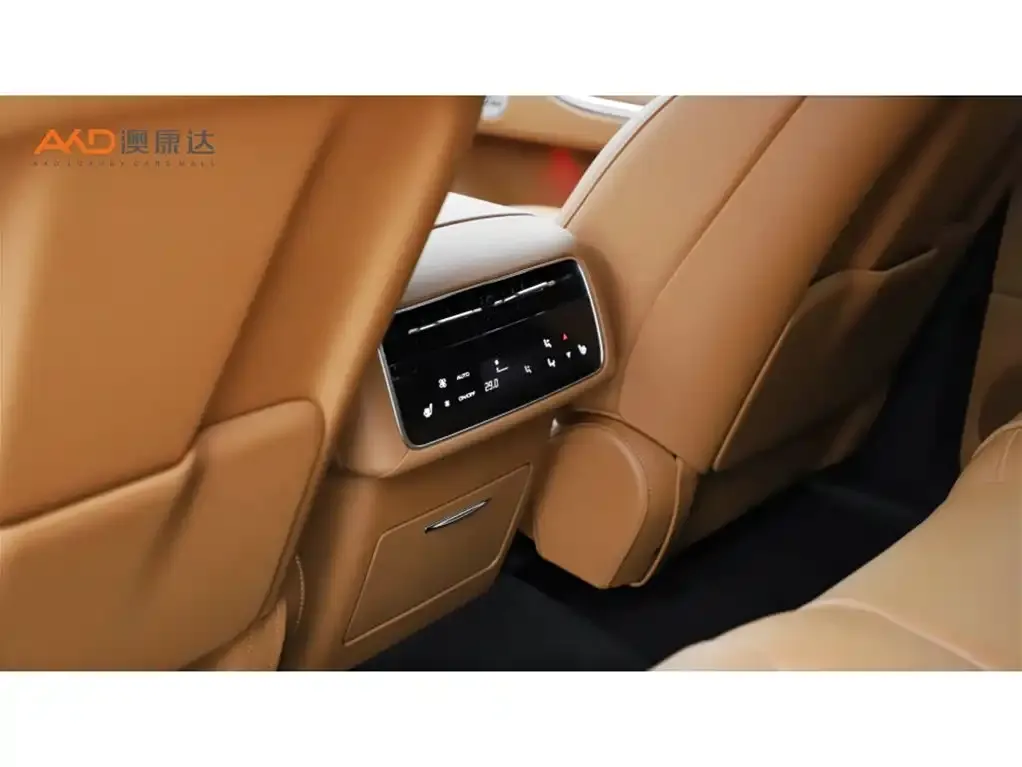 Tank 700 New Energy 2024 из CN, фото 9