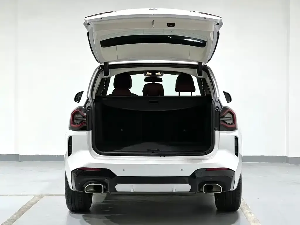 BMW X3 2021 из CN, фото 8
