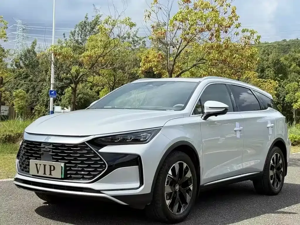 BYD Tang New Energy — фото 1