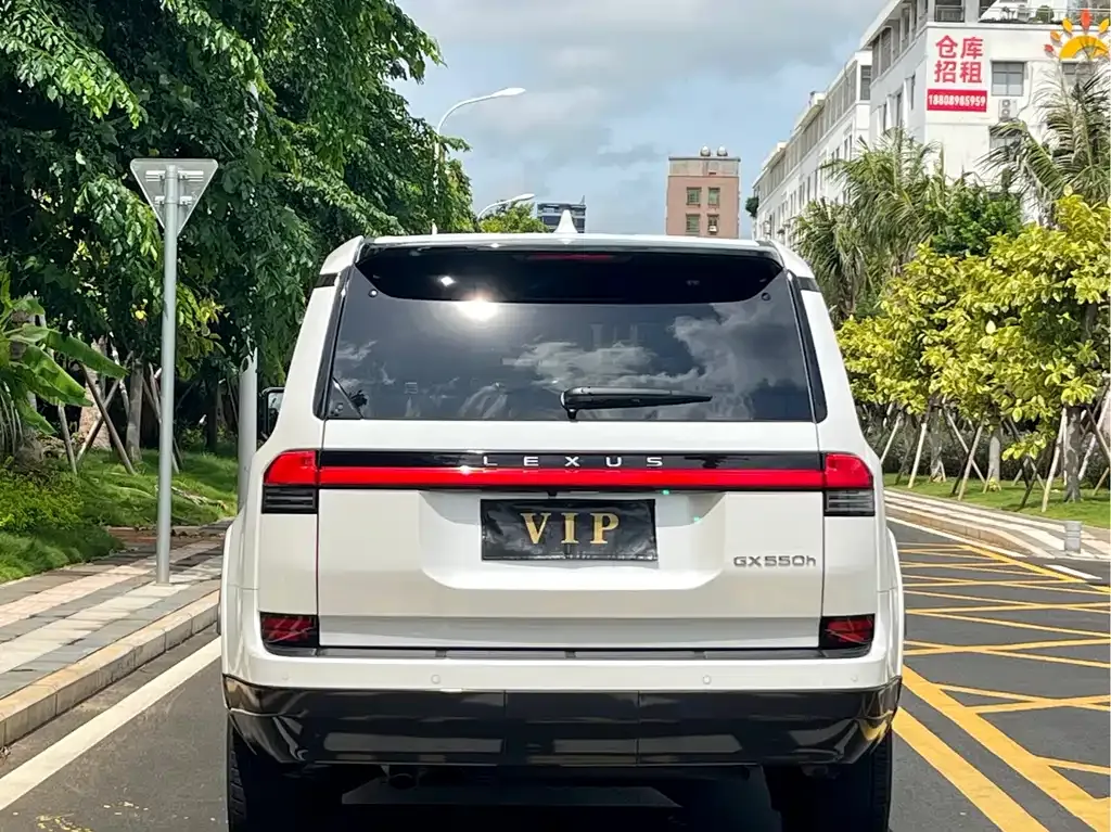 Lexus GX 2024 из CN, фото 8