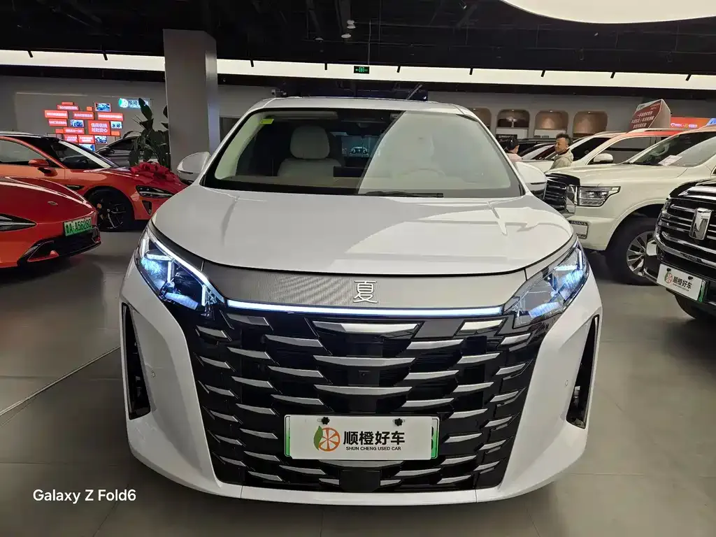 BYD Xia 2025 из CN, фото 2