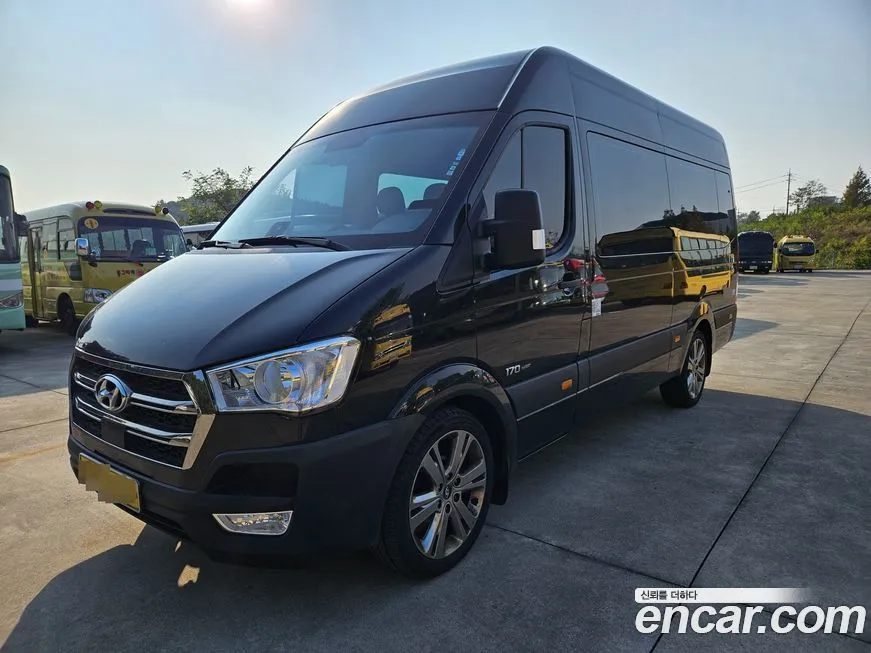 Hyundai Solati 2024 из KR, фото 3