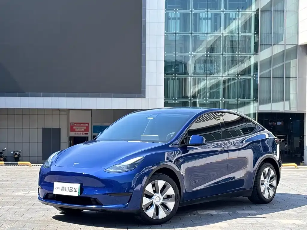 Tesla Model Y 2022 из CN, фото 1