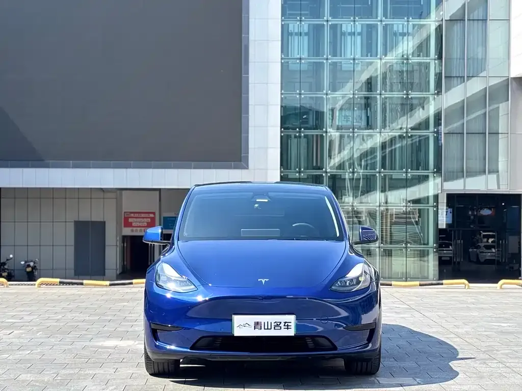 Tesla Model Y 2022 из CN, фото 2