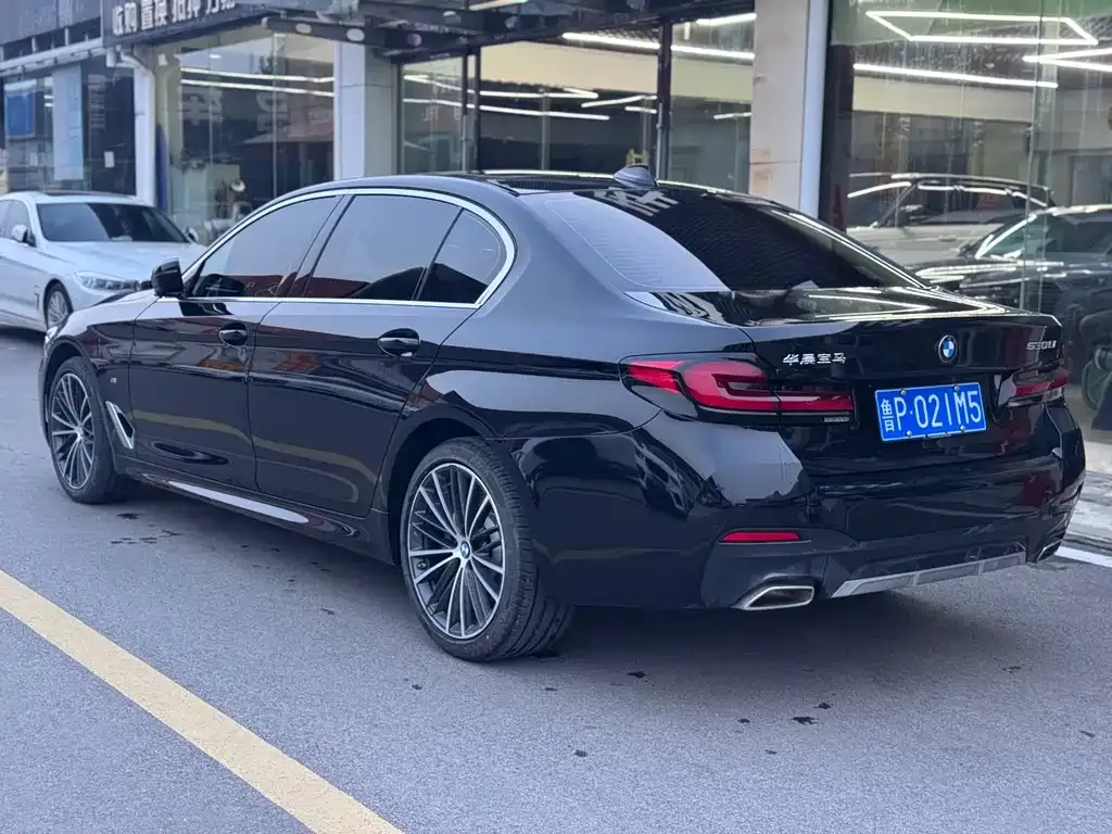 BMW 5 Series 2023 из CN, фото 6