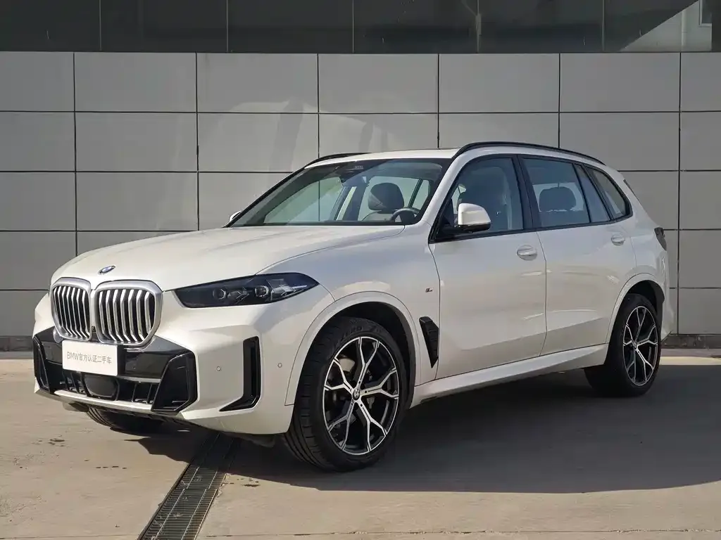 BMW X5 2024 из CN, фото 1