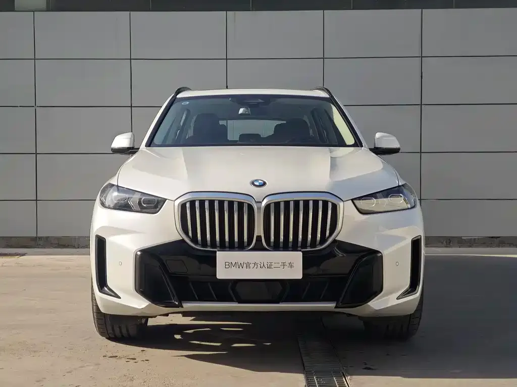 BMW X5 2024 из CN, фото 2