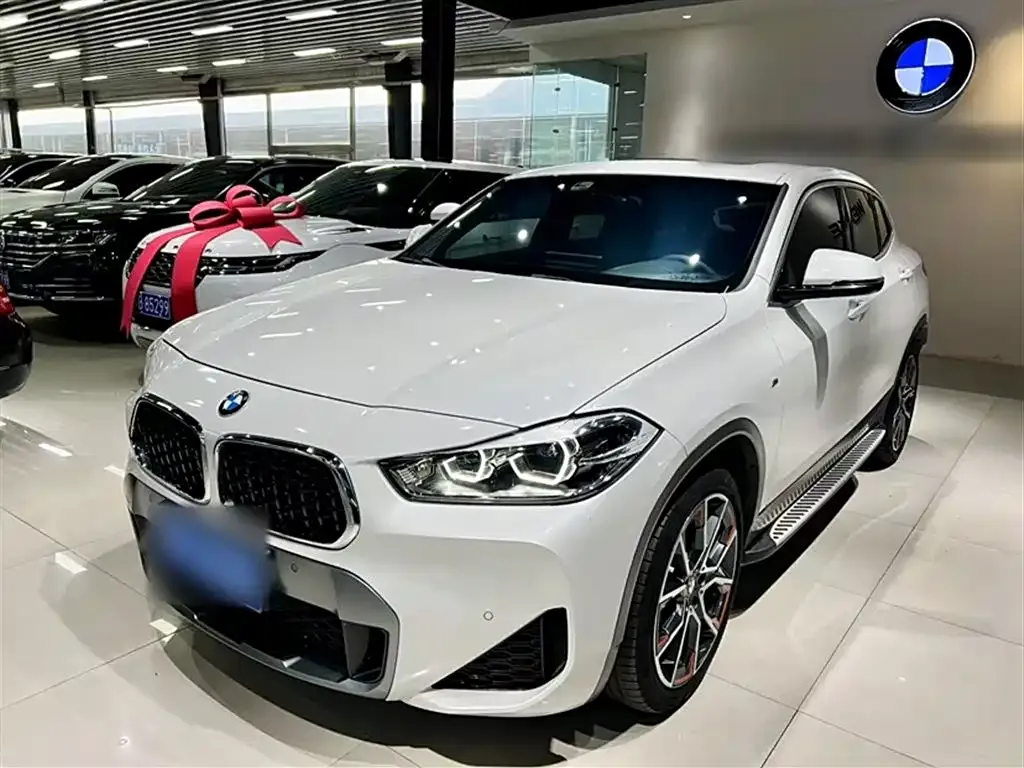 BMW X2 2021 из CN, фото 2