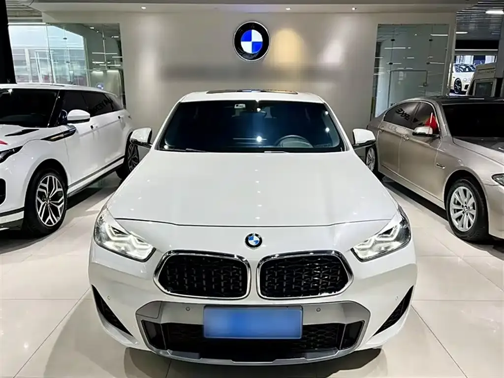 BMW X2 2021 из CN, фото 6