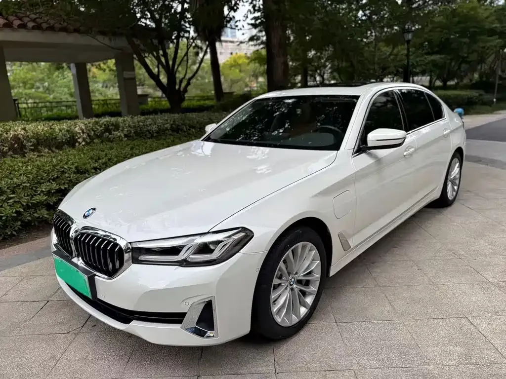 BMW 5 Series New Energy 2021 из CN, фото 1