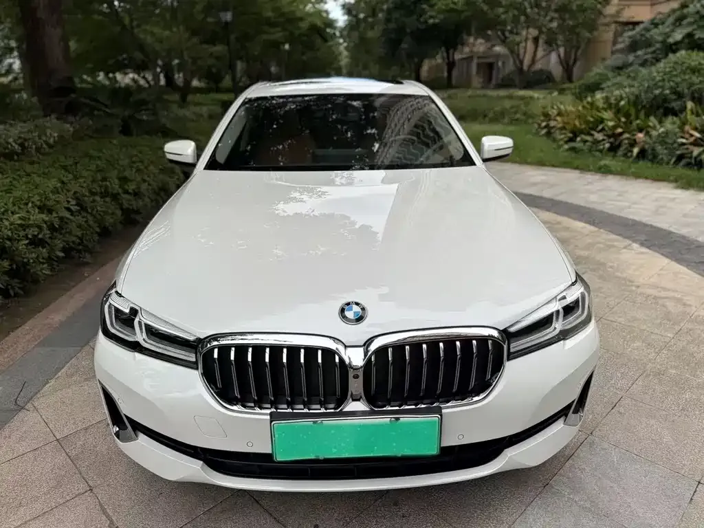 BMW 5 Series New Energy 2021 из CN, фото 2