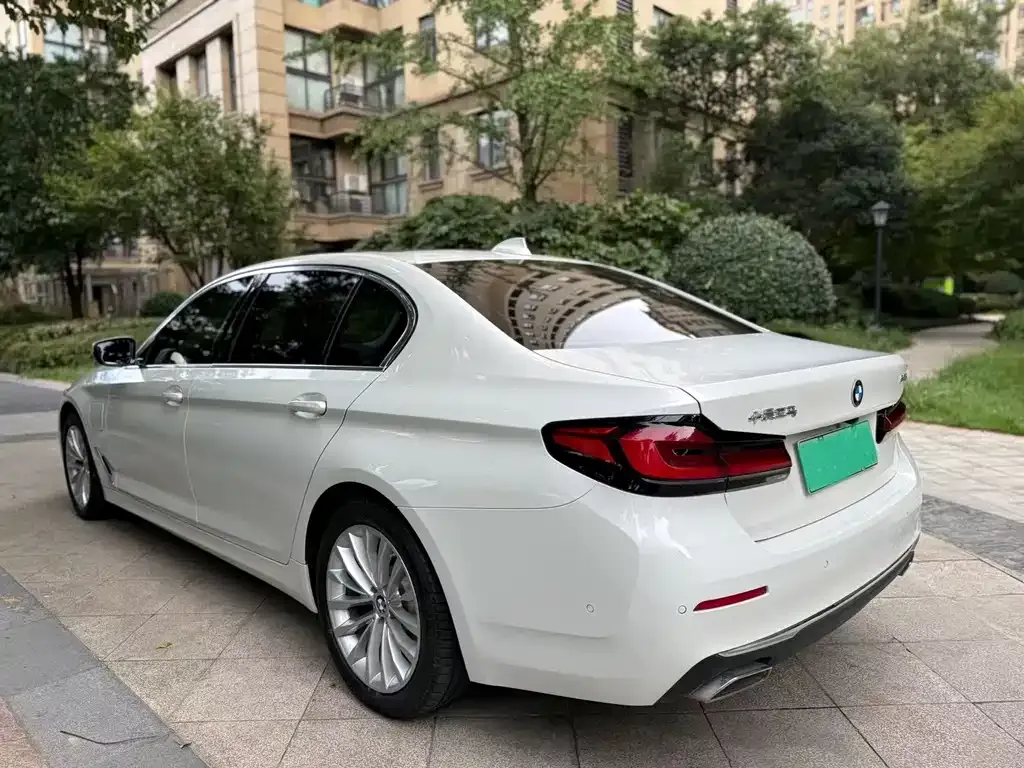 BMW 5 Series New Energy 2021 из CN, фото 4