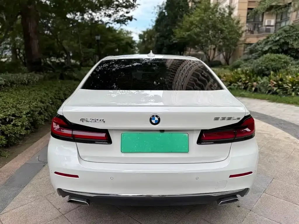 BMW 5 Series New Energy 2021 из CN, фото 5