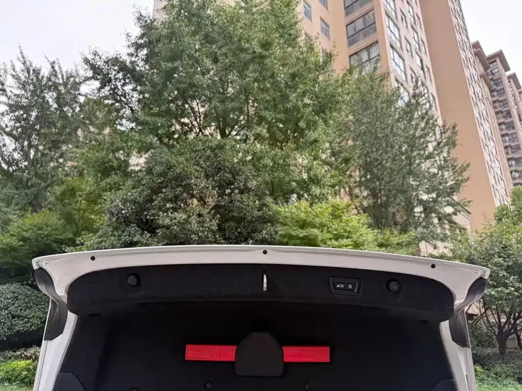 BMW 5 Series New Energy 2021 из CN, фото 6