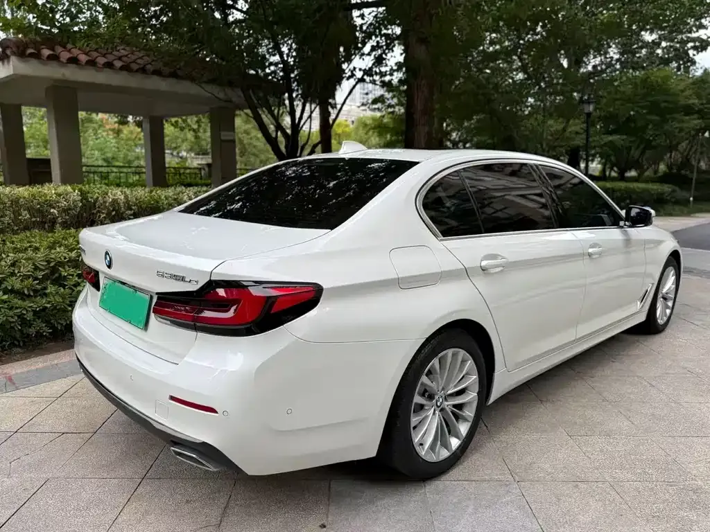 BMW 5 Series New Energy 2021 из CN, фото 7