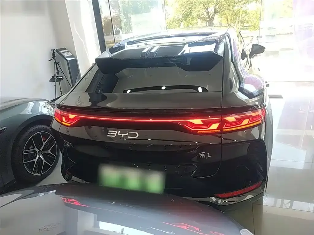 BYD L EV 2024 из CN, фото 6