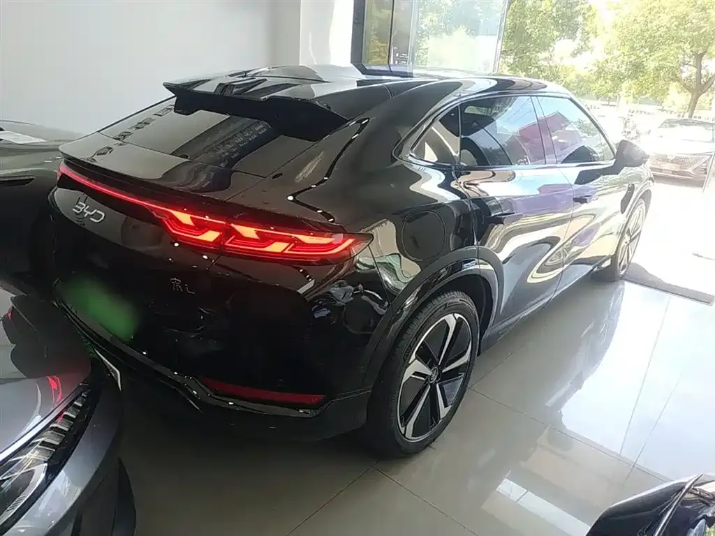 BYD L EV 2024 из CN, фото 7