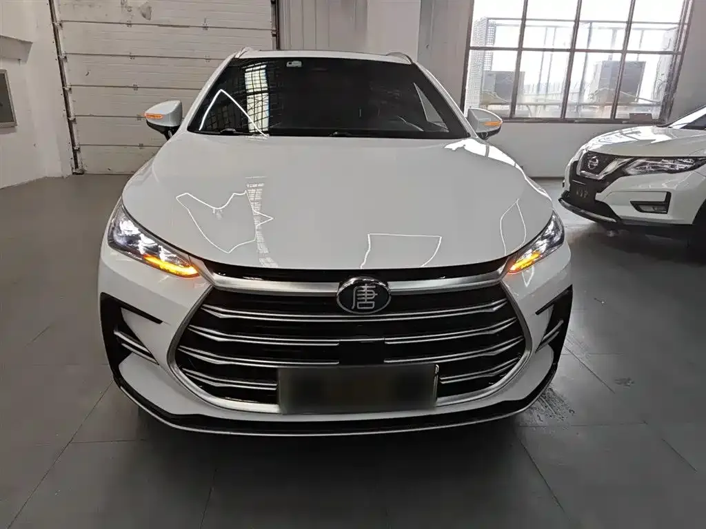 BYD Tang New Energy 2022 из CN, фото 3