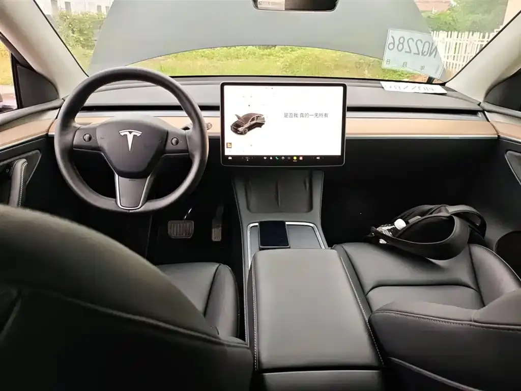 Tesla Model Y 2022 из CN, фото 10