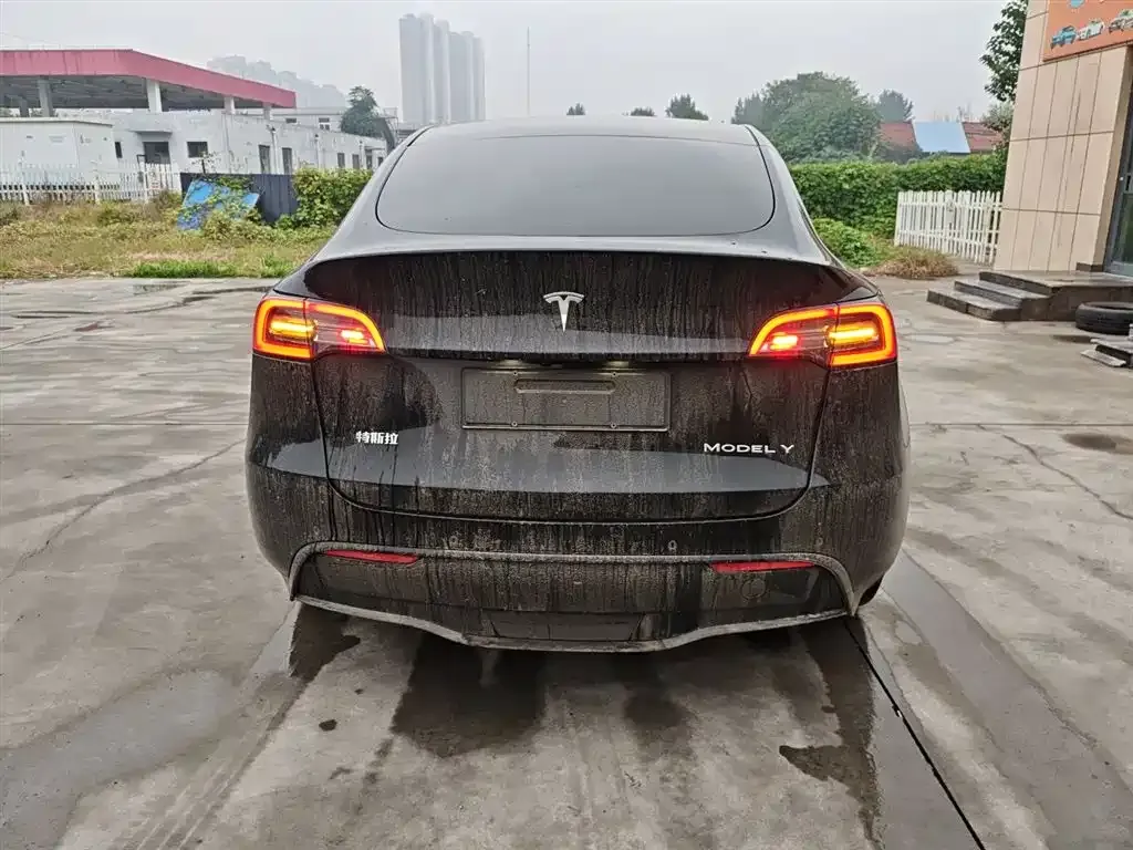 Tesla Model Y 2022 из CN, фото 6