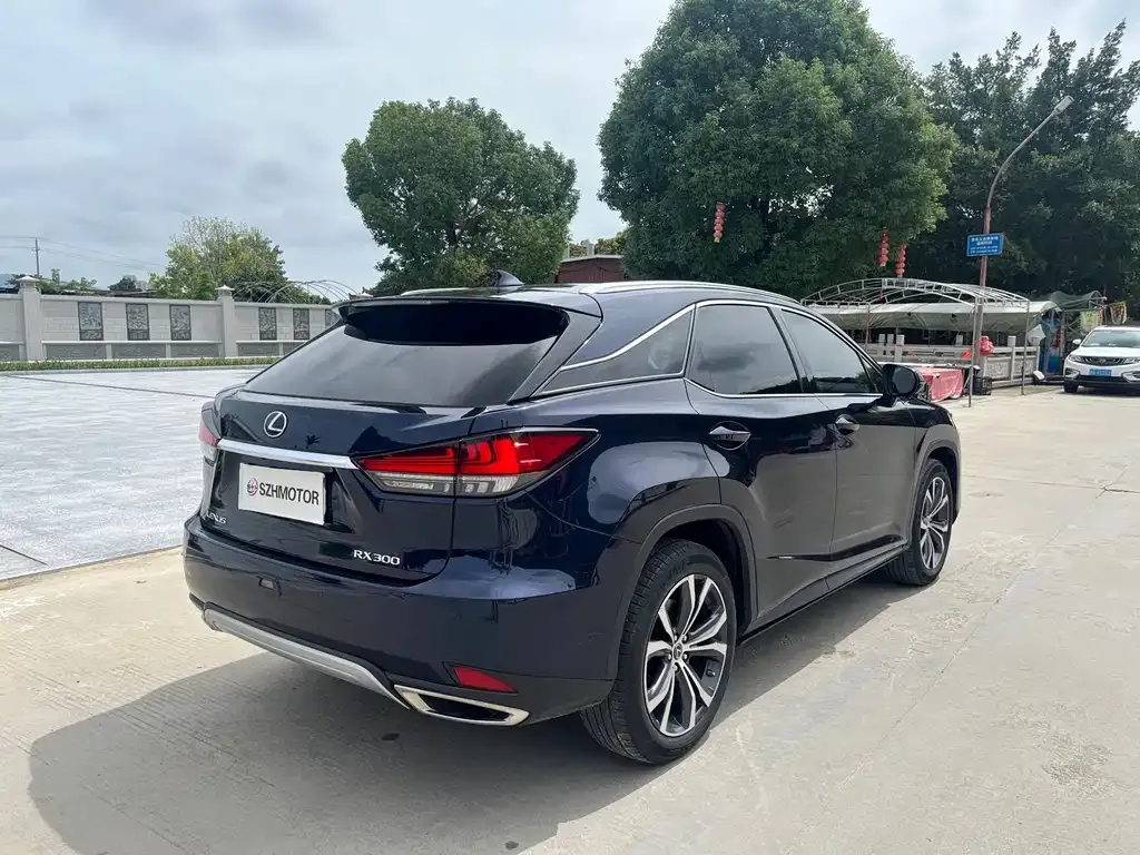 Lexus RX 2022 из CN, фото 7