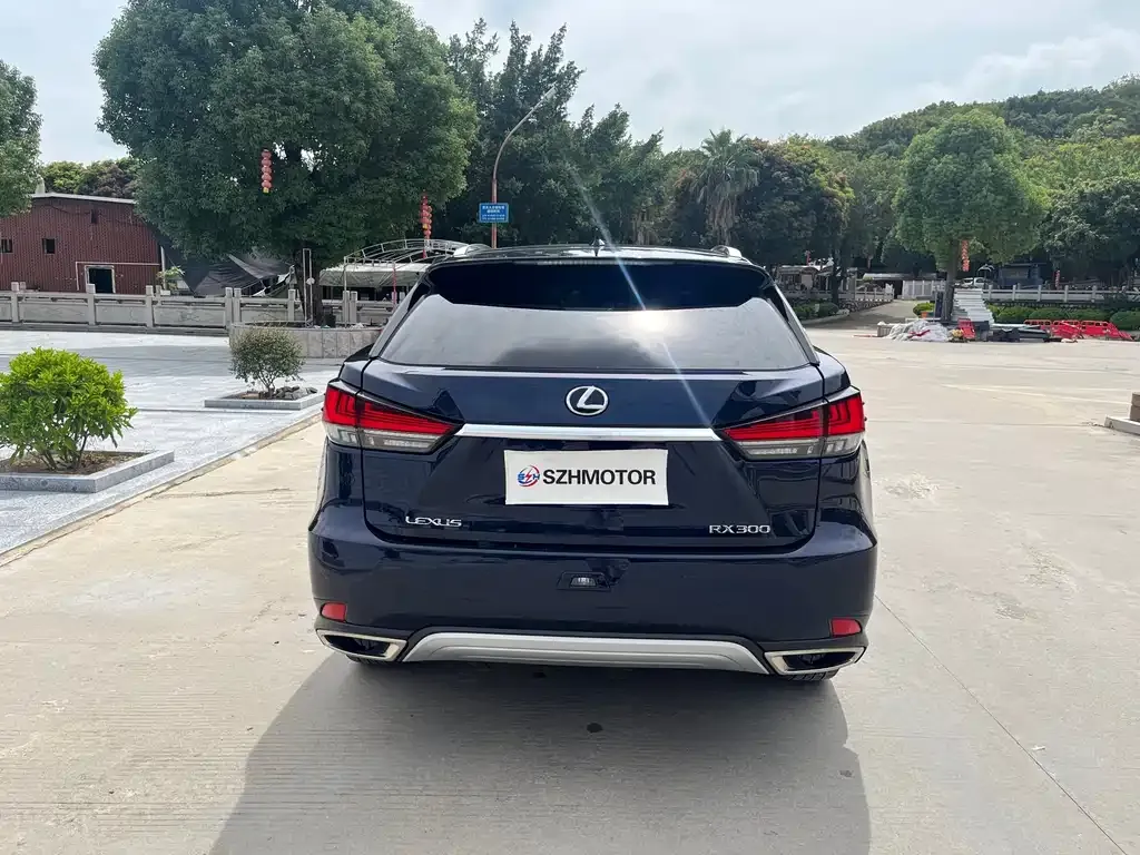 Lexus RX 2022 из CN, фото 8