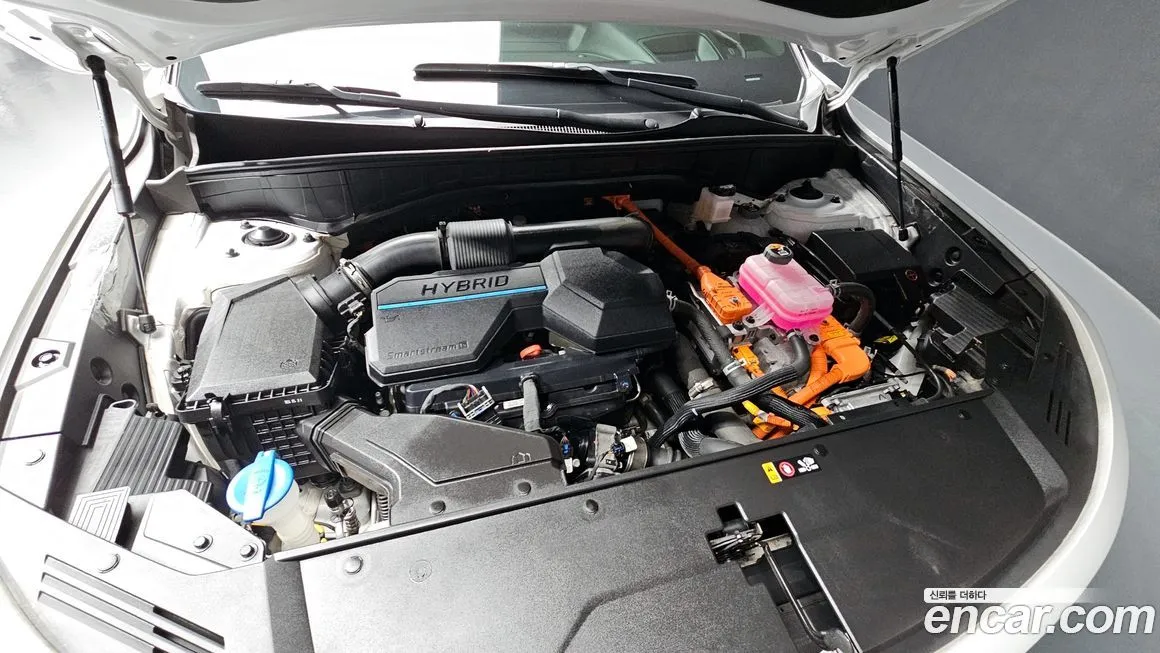 Kia Sorento 2023 из KR, фото 6