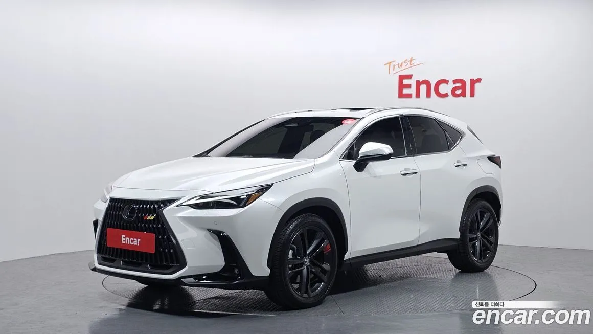 Lexus NX 2024 из KR, фото 1