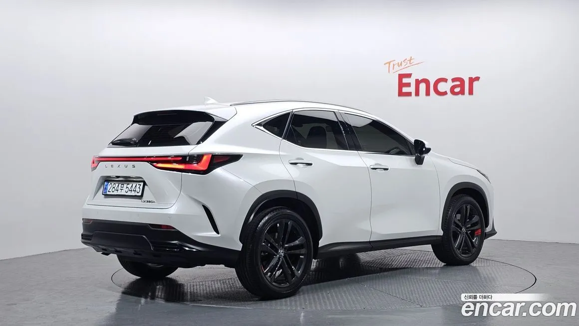 Lexus NX 2024 из KR, фото 2
