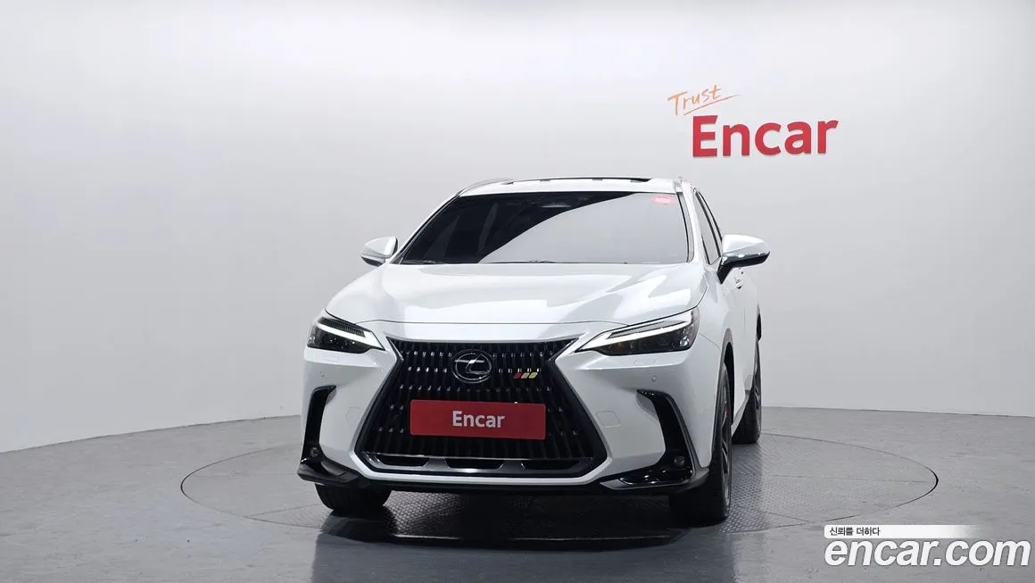 Lexus NX 2024 из KR, фото 3