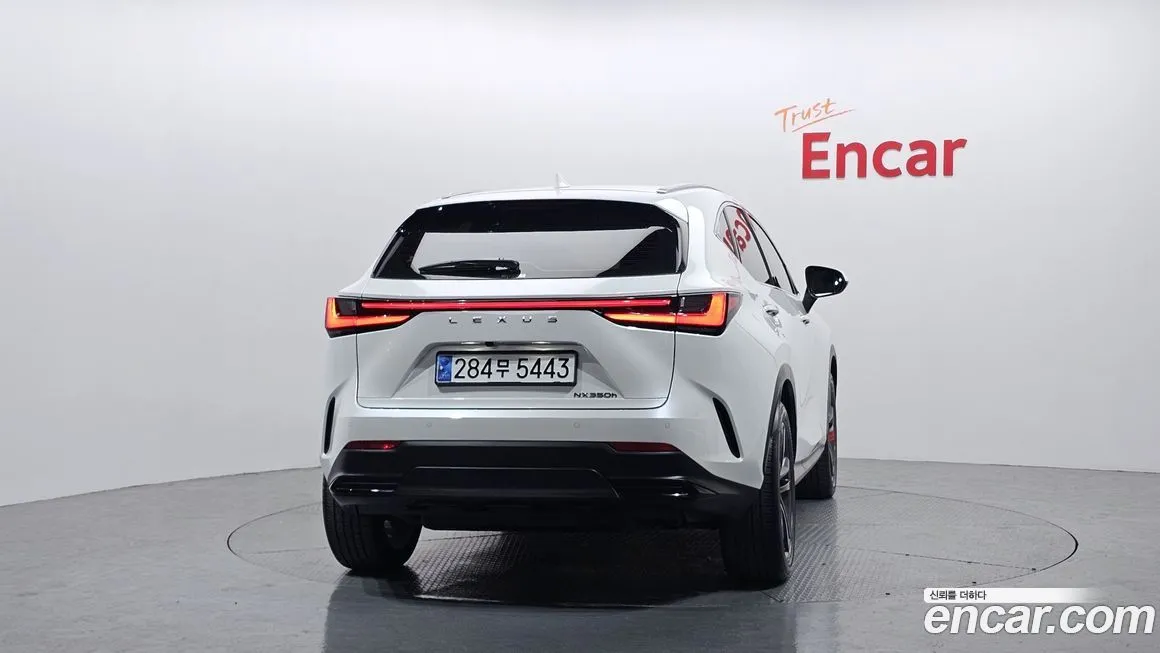 Lexus NX 2024 из KR, фото 4