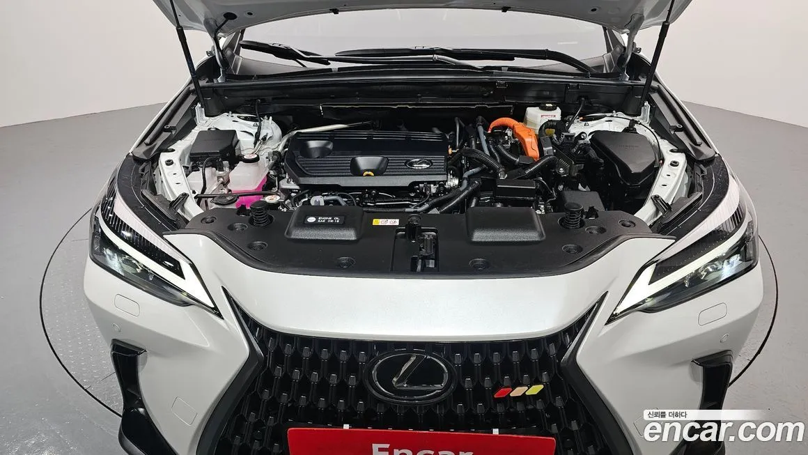 Lexus NX 2024 из KR, фото 6