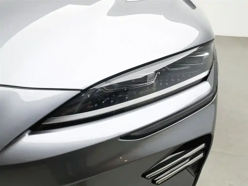 BYD PLUS New Energy — фото 7