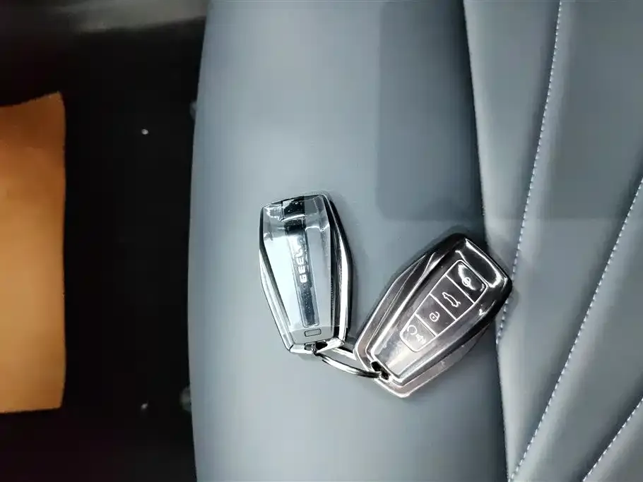 [object Object] Boyue L 2024 из CN, фото 9