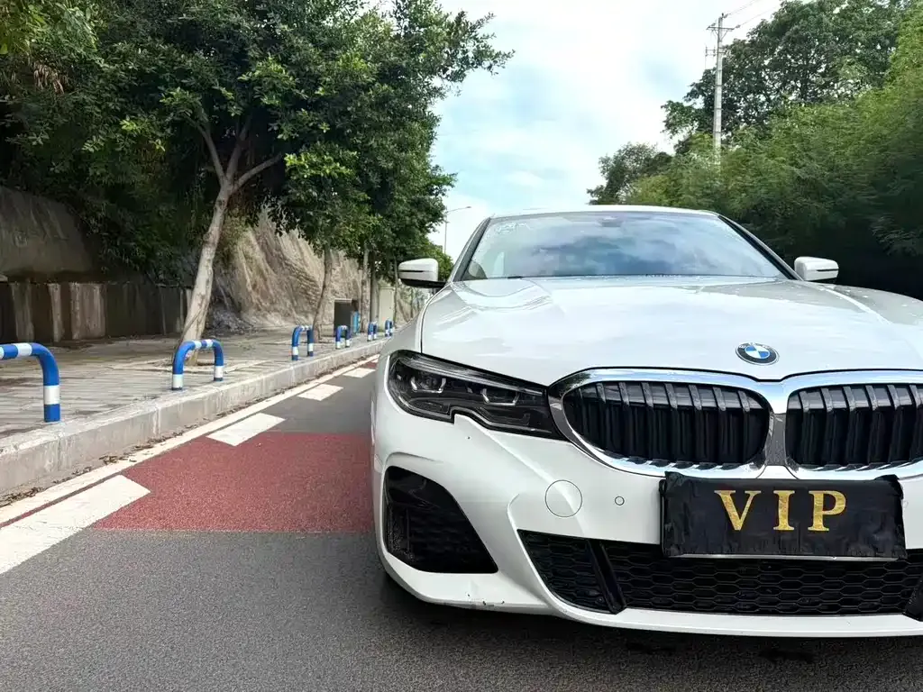 [object Object] 3 Series 2021 из CN, фото 4