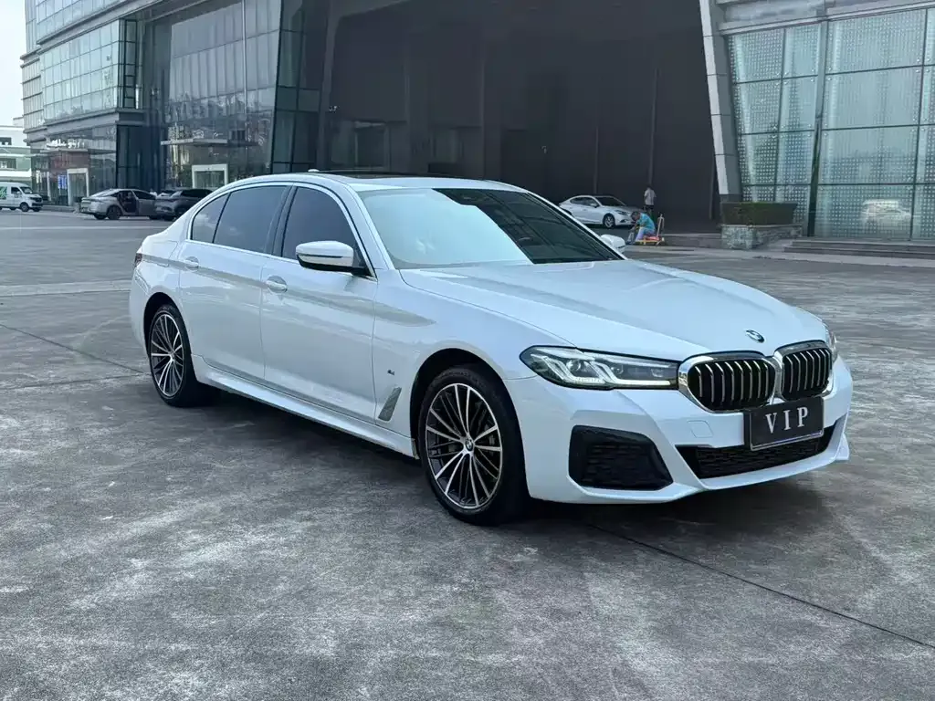 BMW 5 Series 2022 из CN, фото 1