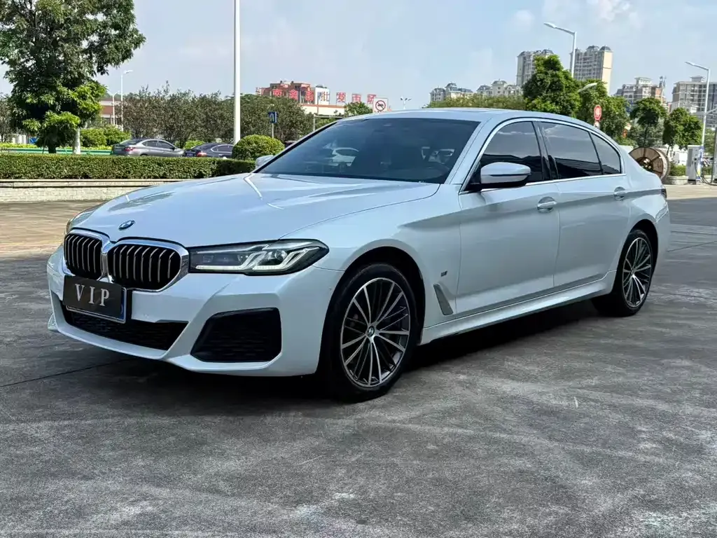 BMW 5 Series 2022 из CN, фото 3
