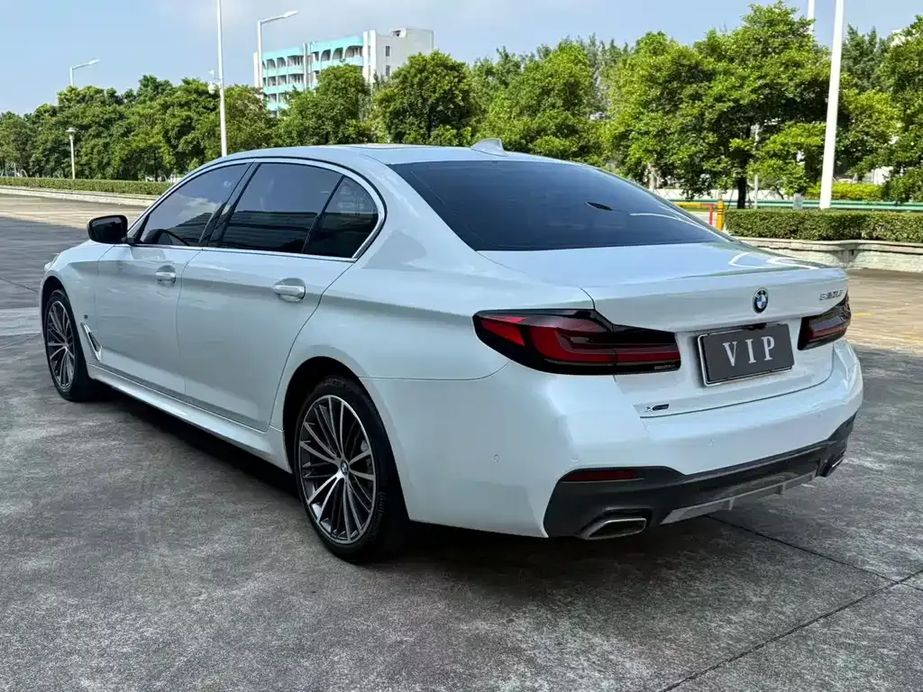 BMW 5 Series 2022 из CN, фото 4