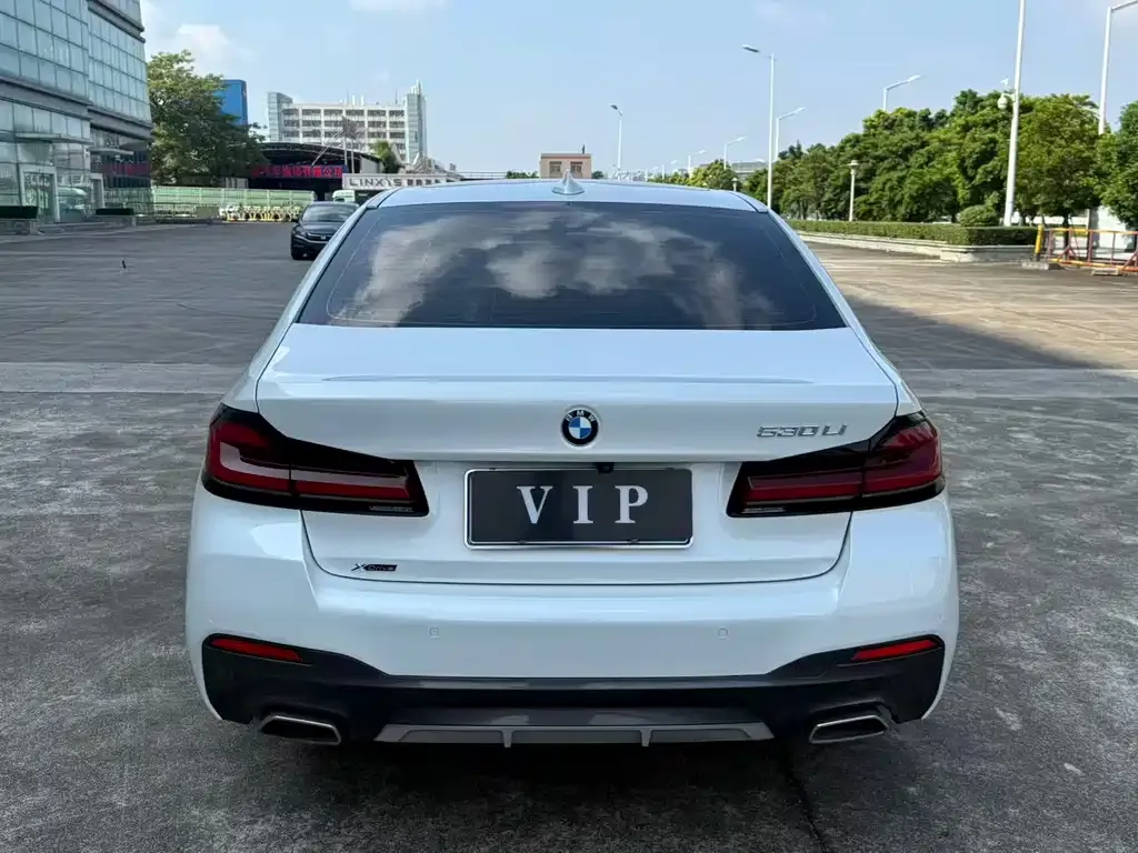 BMW 5 Series 2022 из CN, фото 5