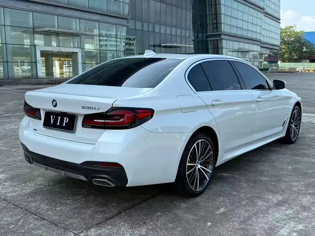 BMW 5 Series 2022 из CN, фото 6