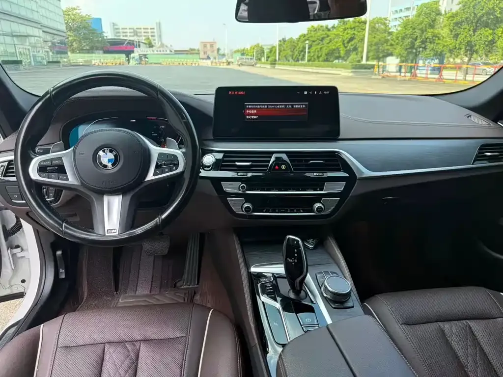 BMW 5 Series 2022 из CN, фото 8