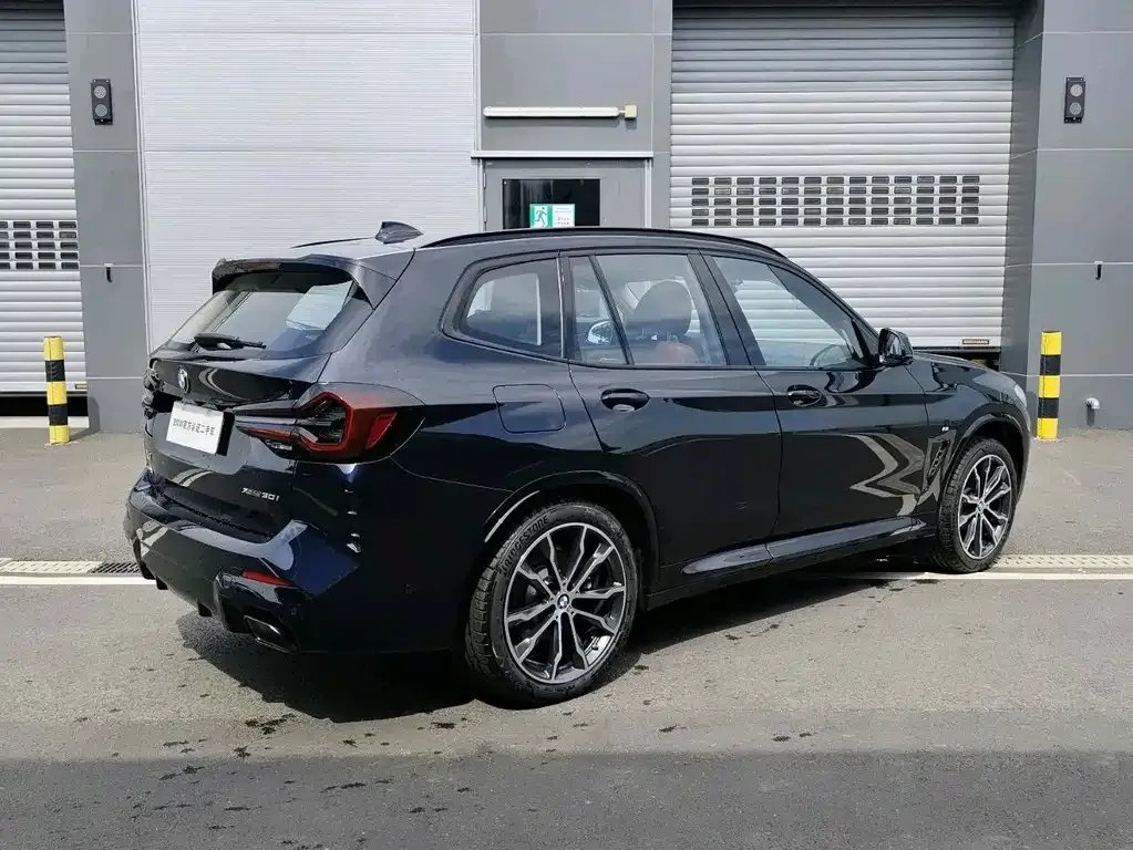 BMW X3 2024 из CN, фото 7