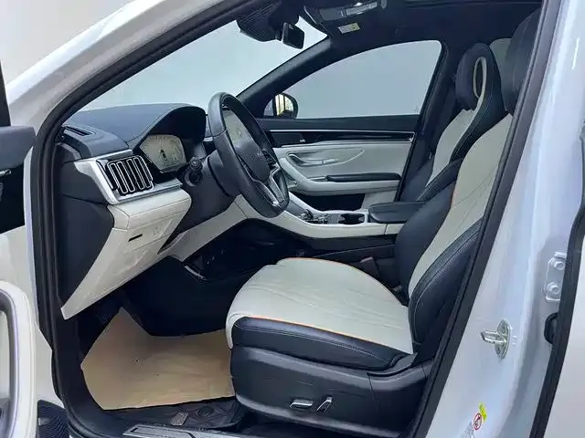 BYD PLUS New Energy 2023 из CN, фото 4