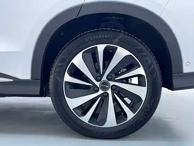 BYD PLUS New Energy 2023 из CN, фото 9