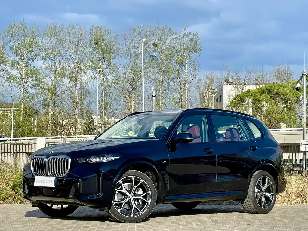 BMW X5 — фото 1