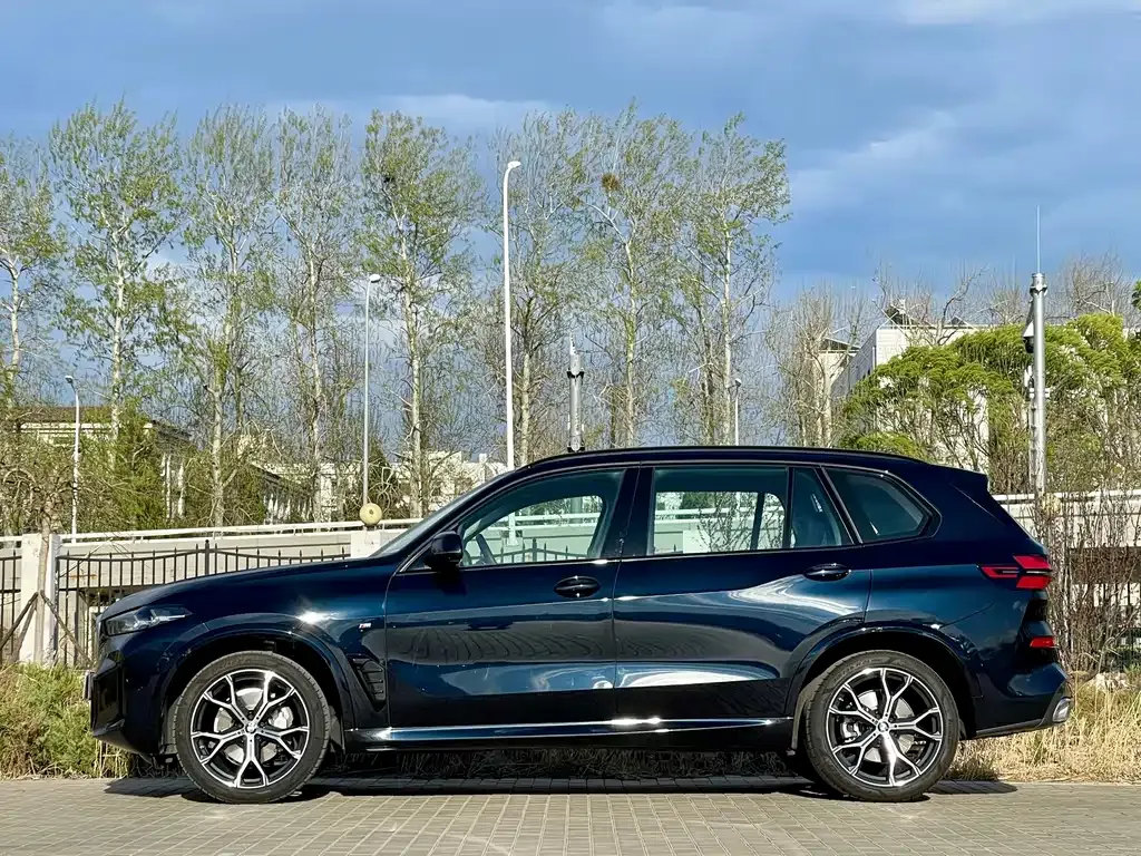 BMW X5 — фото 4