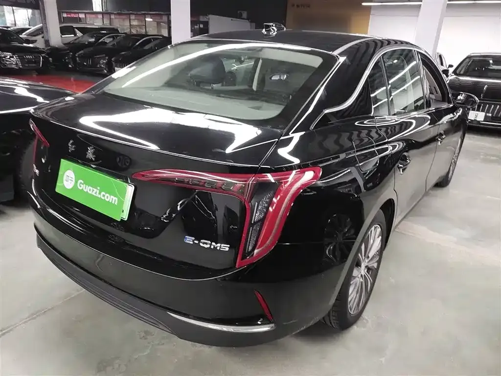Hongqi E-QM5 2022 из CN, фото 7
