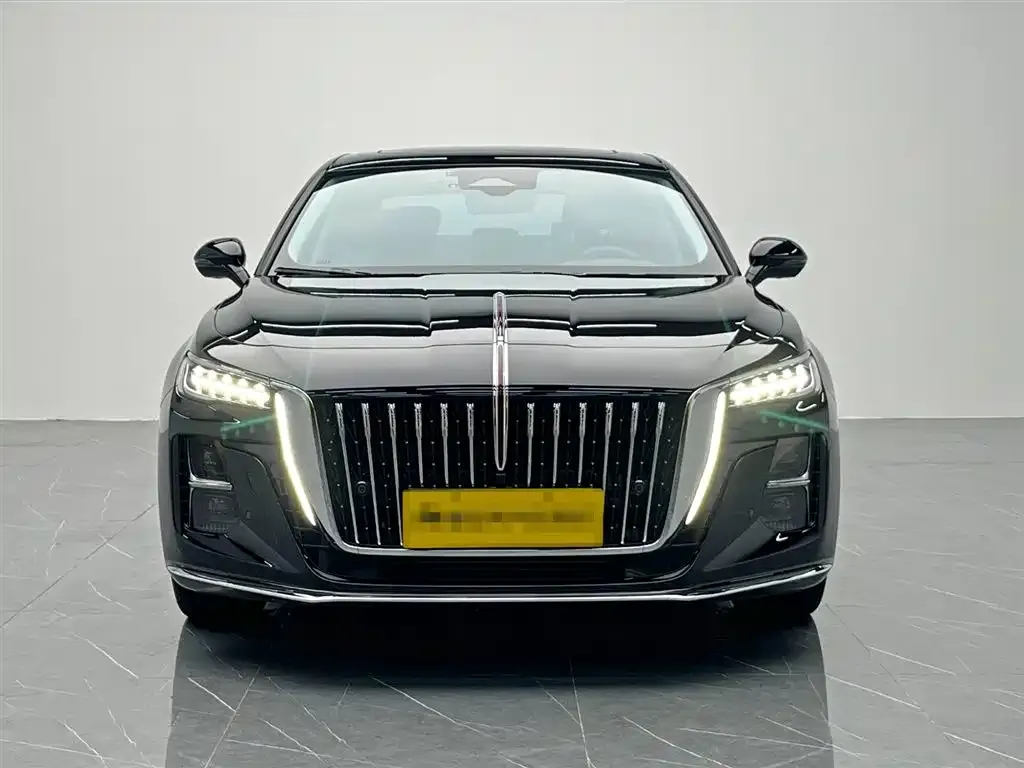 Hongqi H5 2024 из CN, фото 2