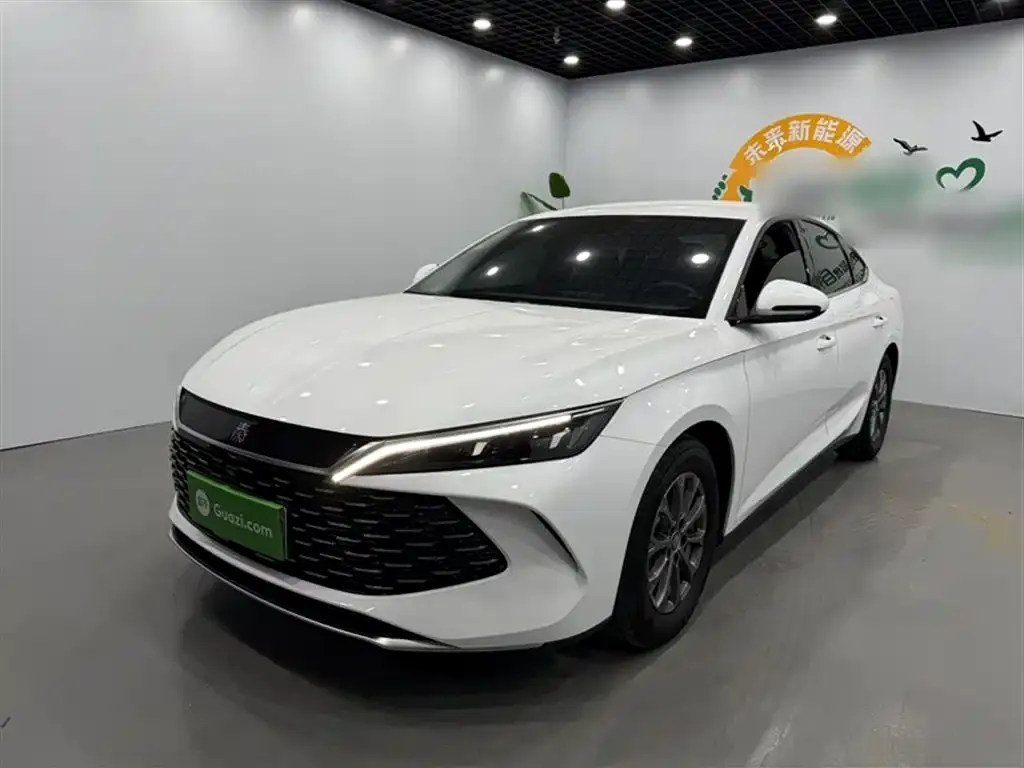 BYD Qin L — фото 2